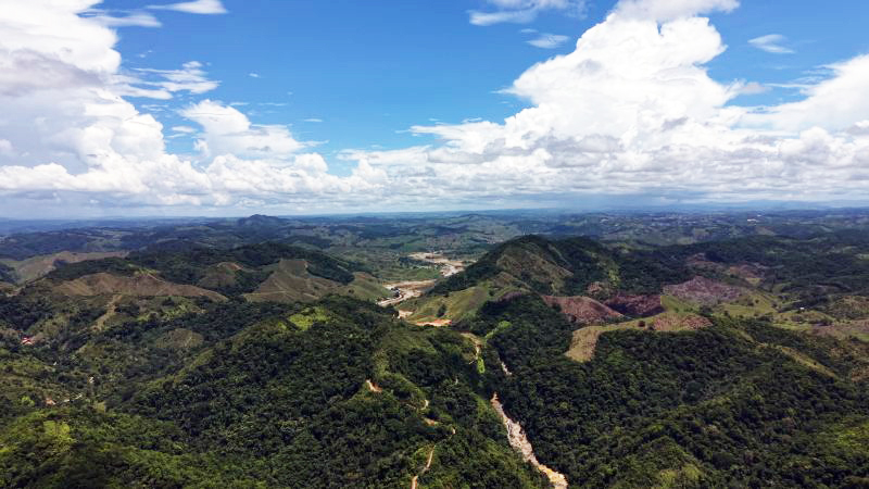 aerial